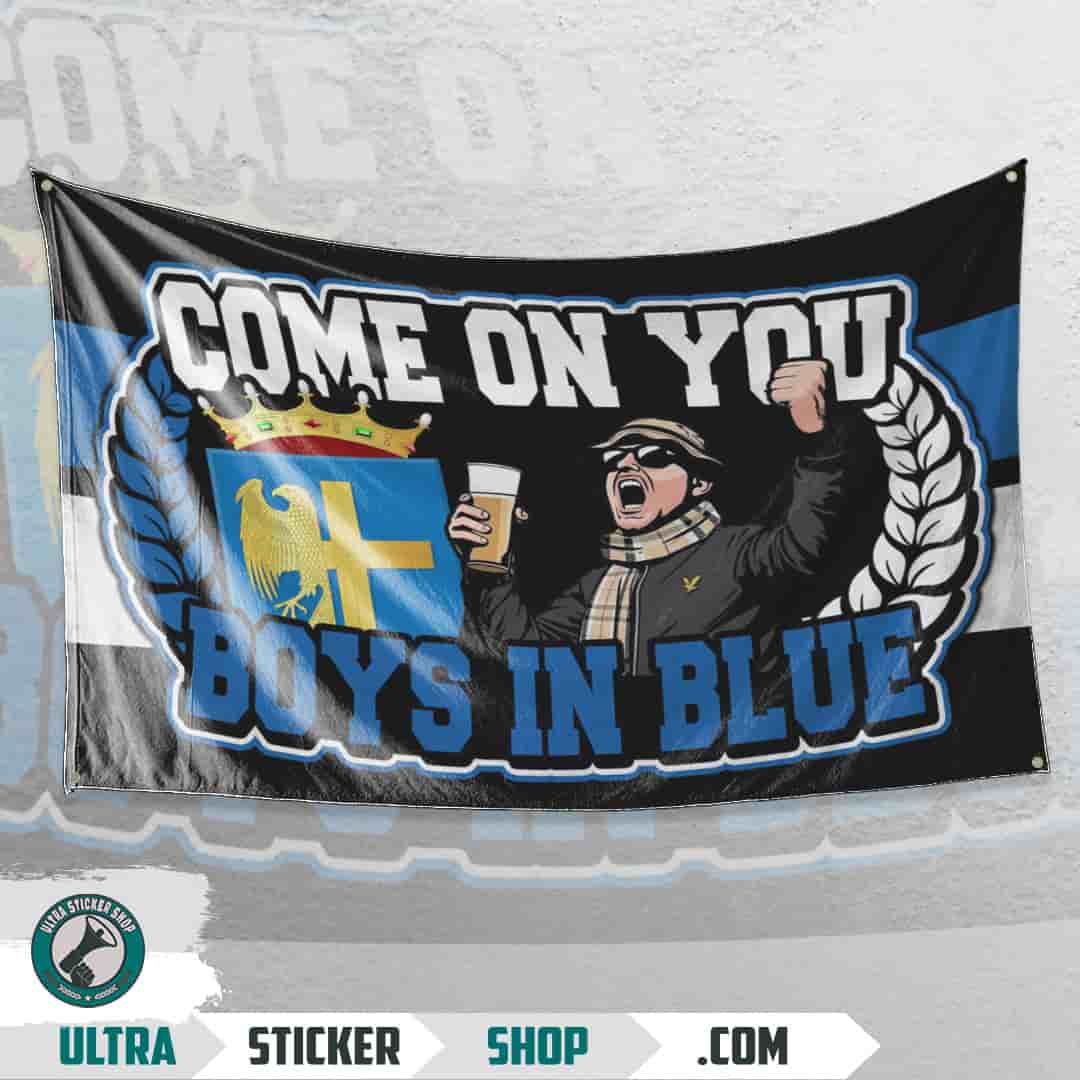Come on you boys in blue Flagg