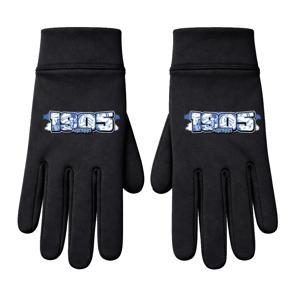 1905 Auxerre Handschuhe