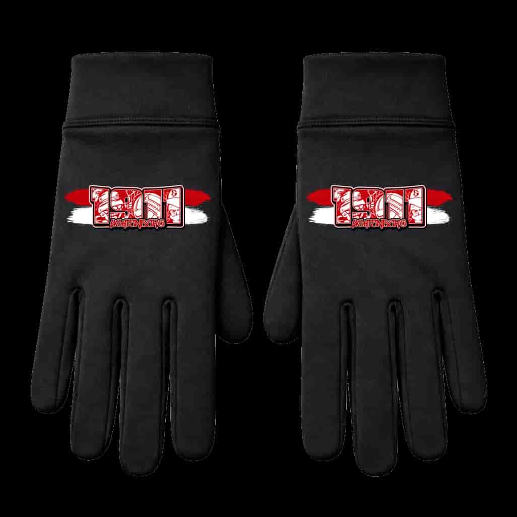 1911 Lichtenberg Handschuhe