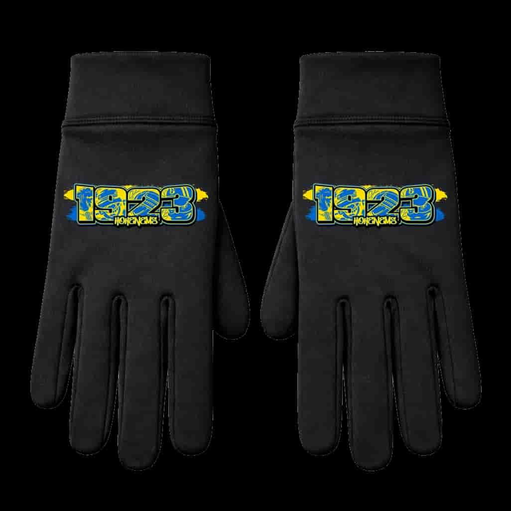 1923 Hohenems Gants