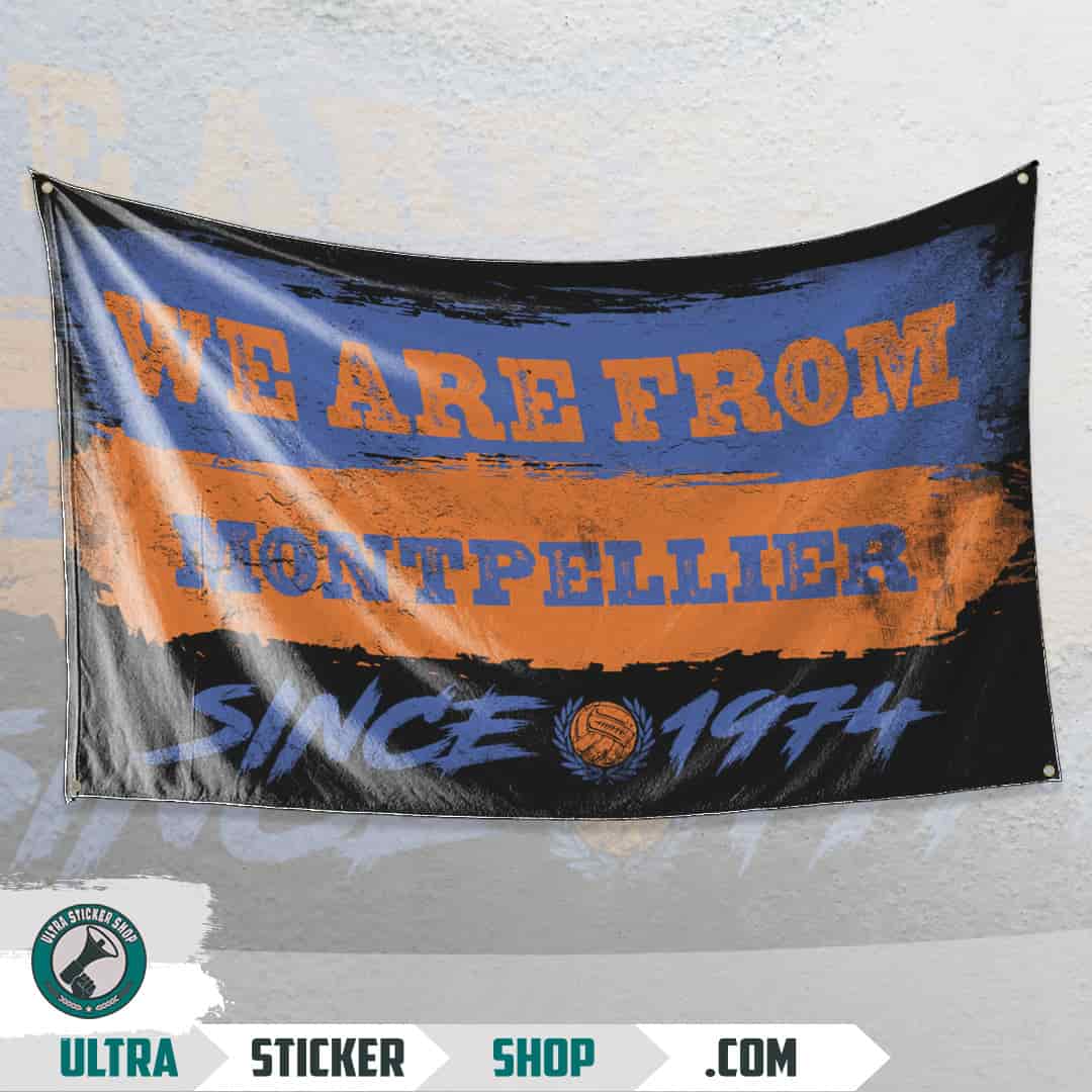 We are from Montpellier since 1974 Steag