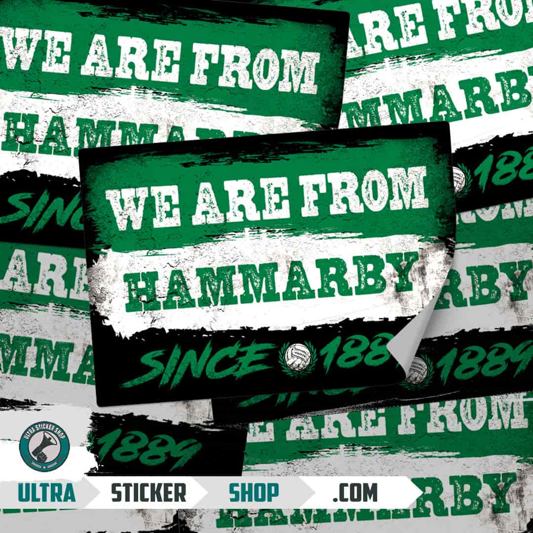 We are from Hammarby since 1889 Nalepnice