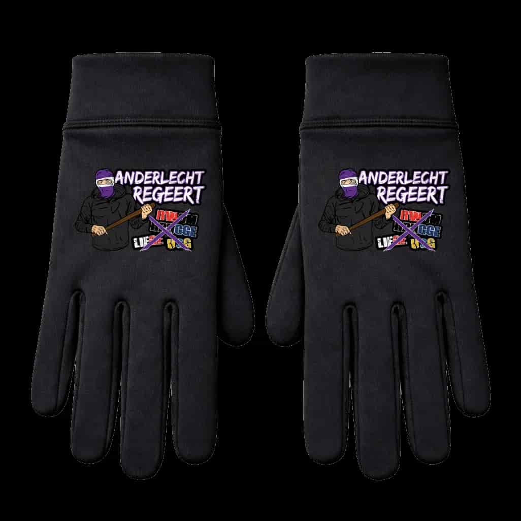 Anderlecht Regeert Hanskat