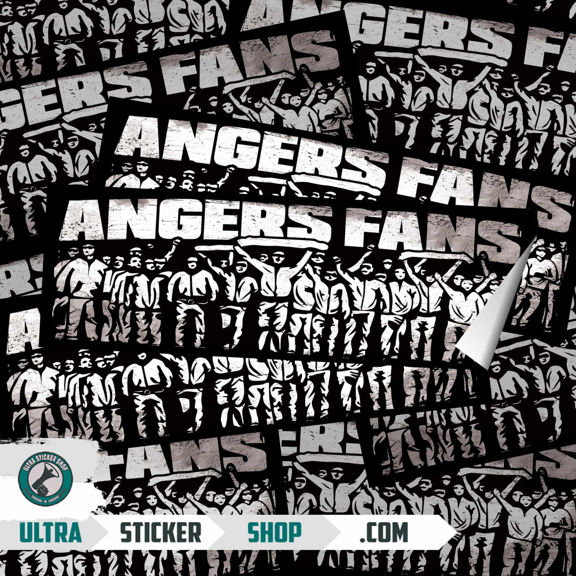 Angers fans