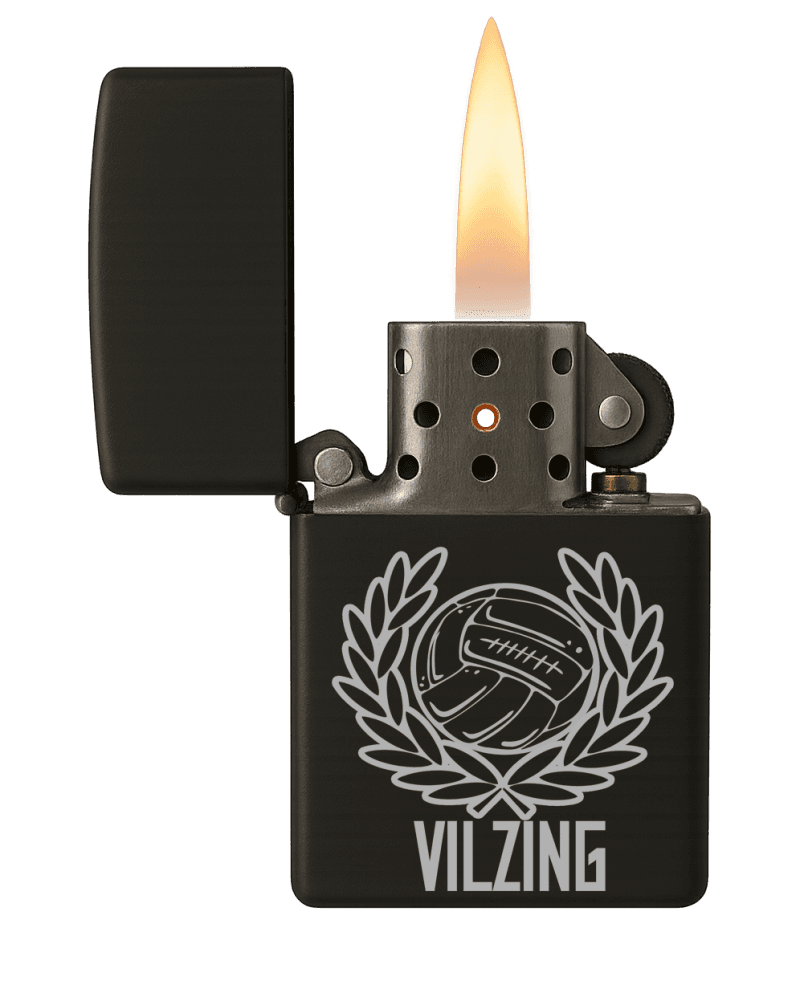 Vilzing