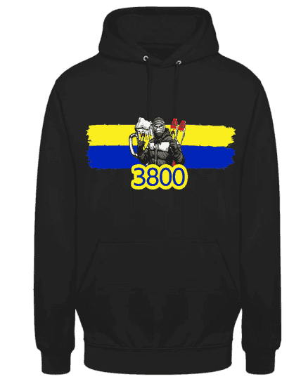 3800 Sweat à capuche