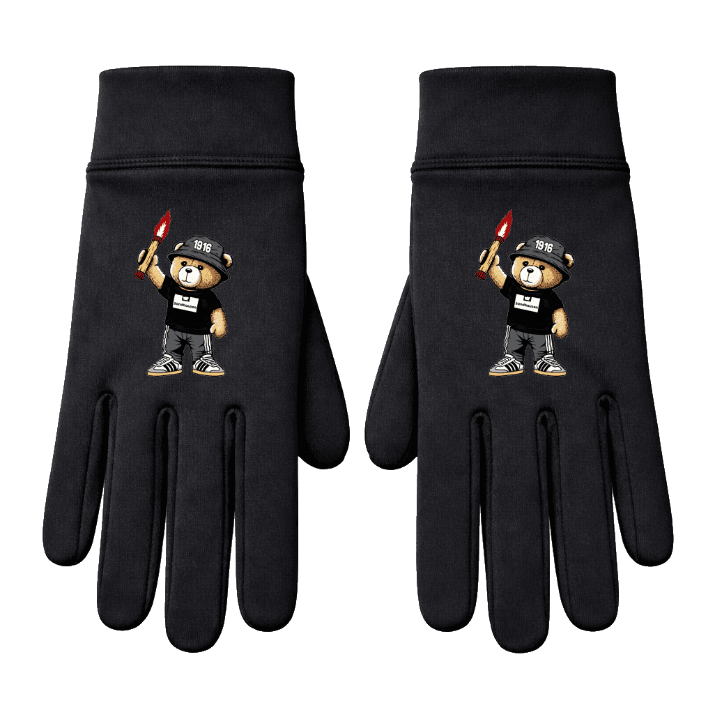 Sandhausen 1916 bear Handschuhe