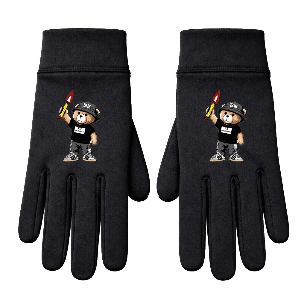 Sandhausen 1916 bear Handschuhe