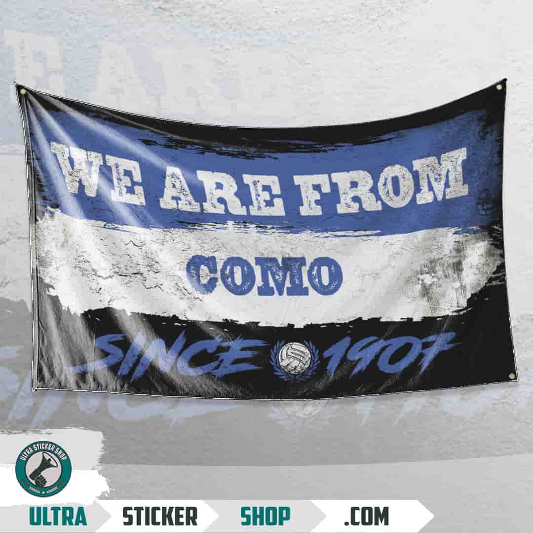 We are from Como since 1907 Steag