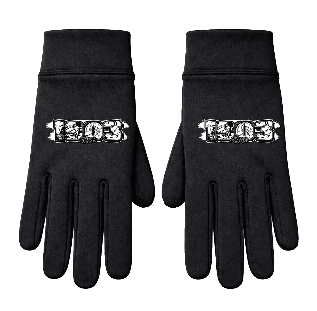 1903 Almelo Hanskat