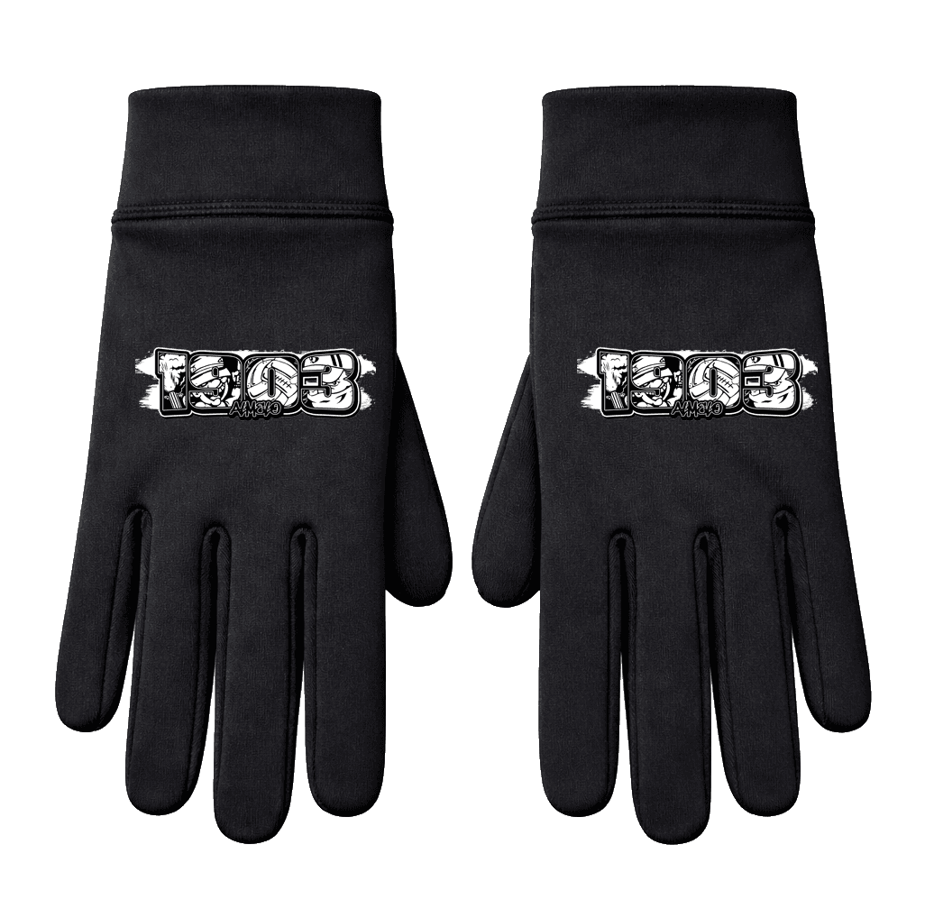 1903 Almelo Hanskat