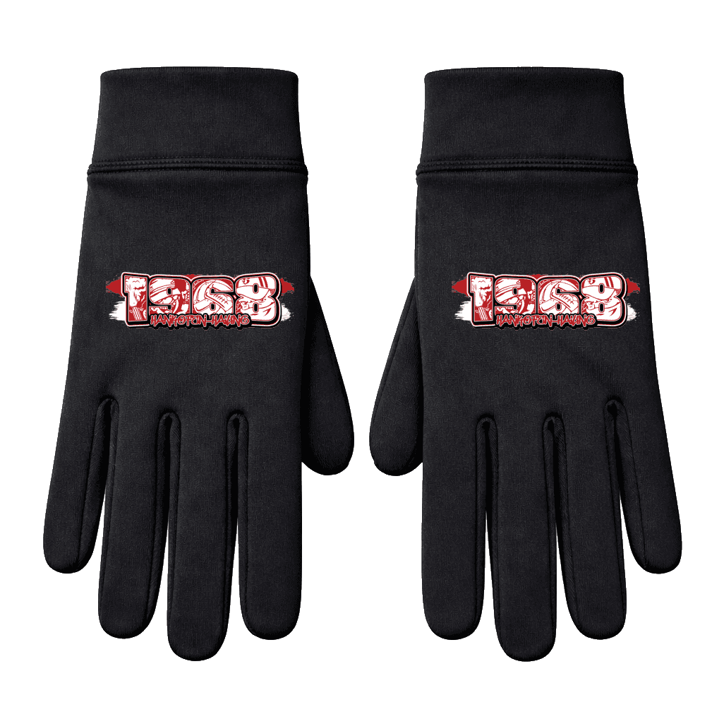 1968 Hankofen-Hailing Handschuhe