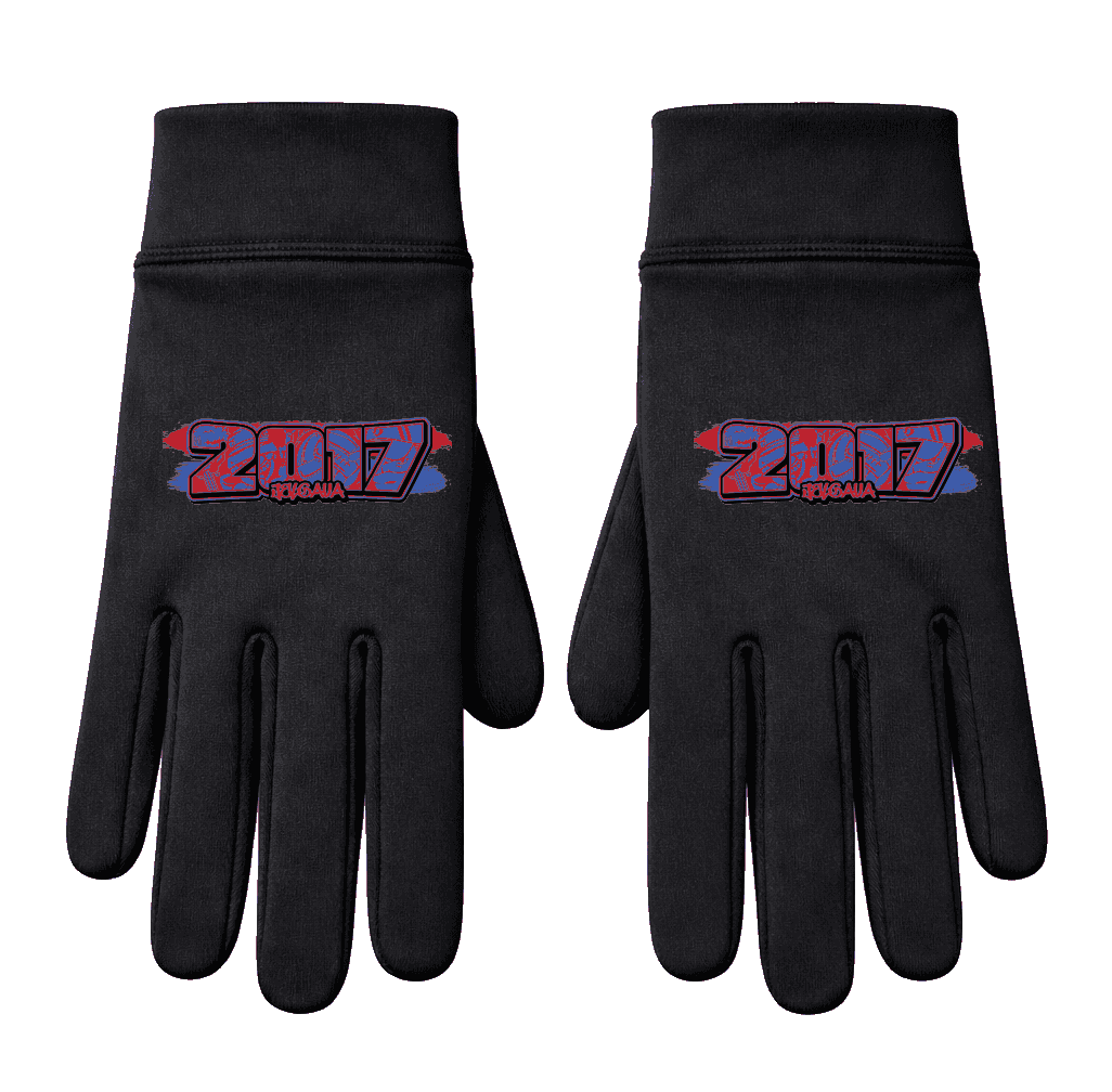 2017 Jelgava Rukavice
