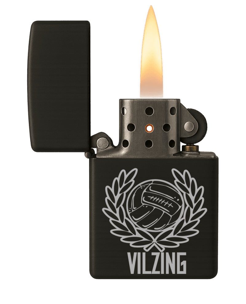 Vilzing