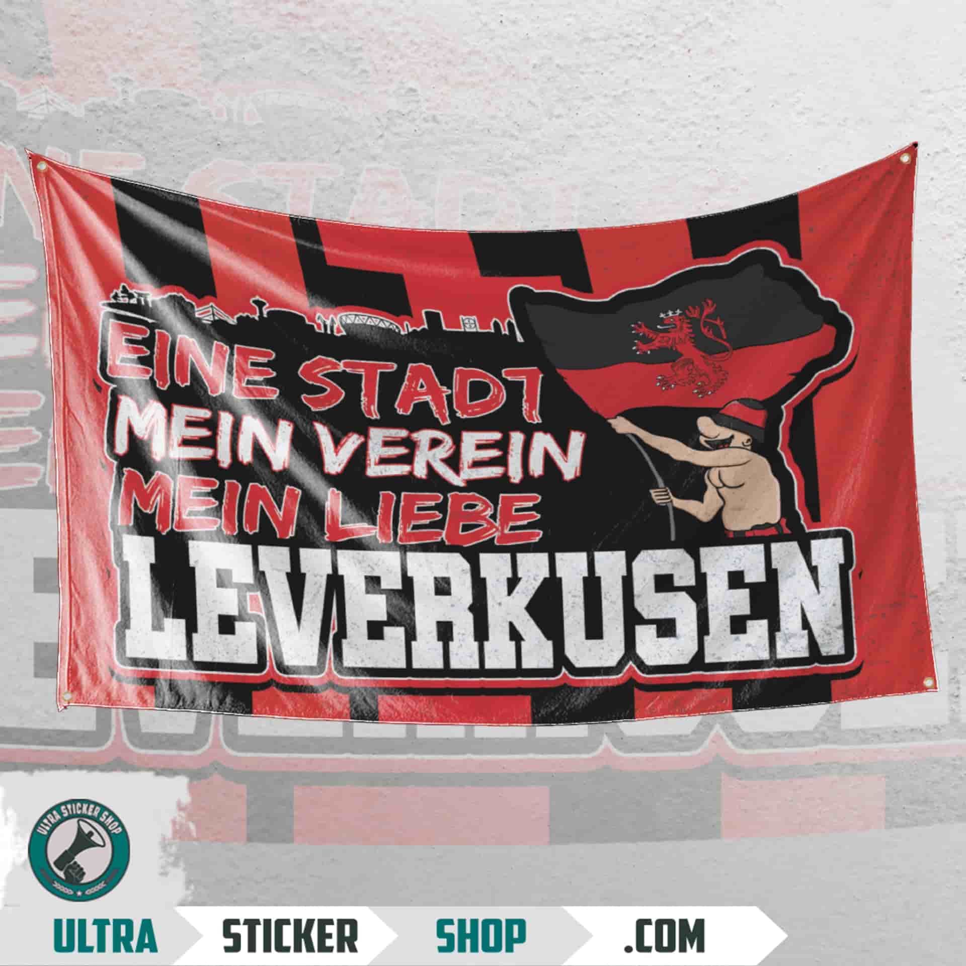Leverkusen 1904, eine stadt, mein verein, mein liebe Vlajka