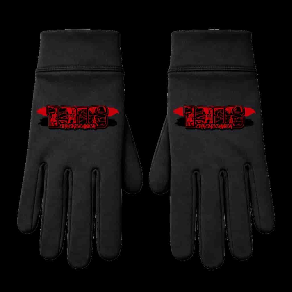 1916 Erkenschwick Handschuhe