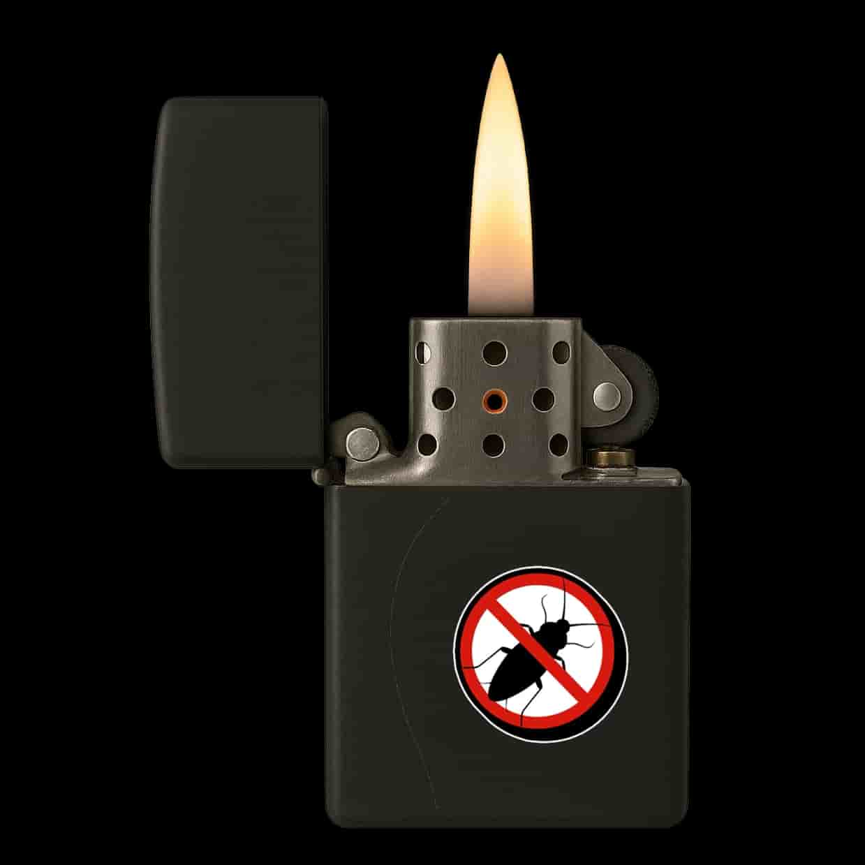 Anti Kakkerlak Aansteker
