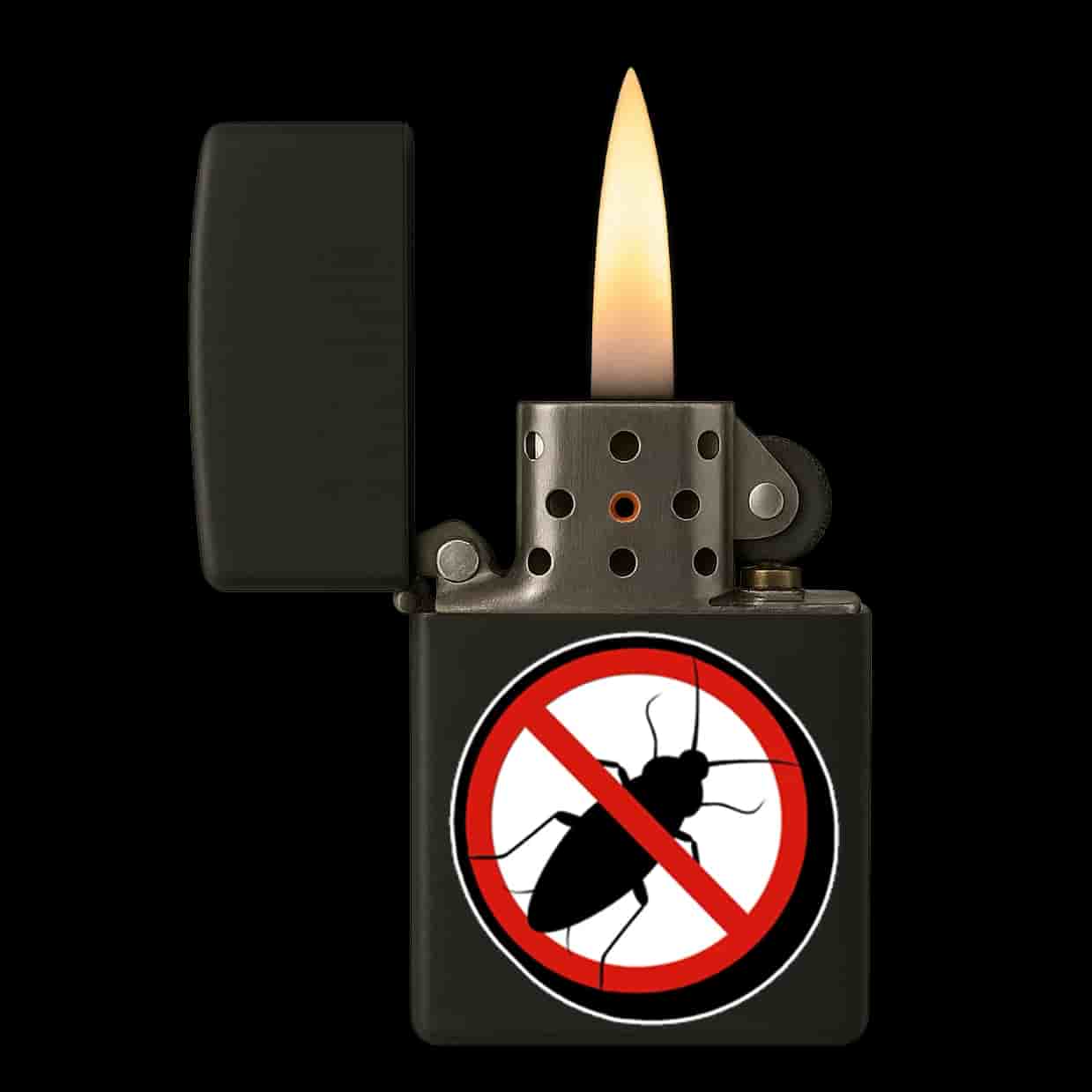 Anti Kakkerlak Isqueiro
