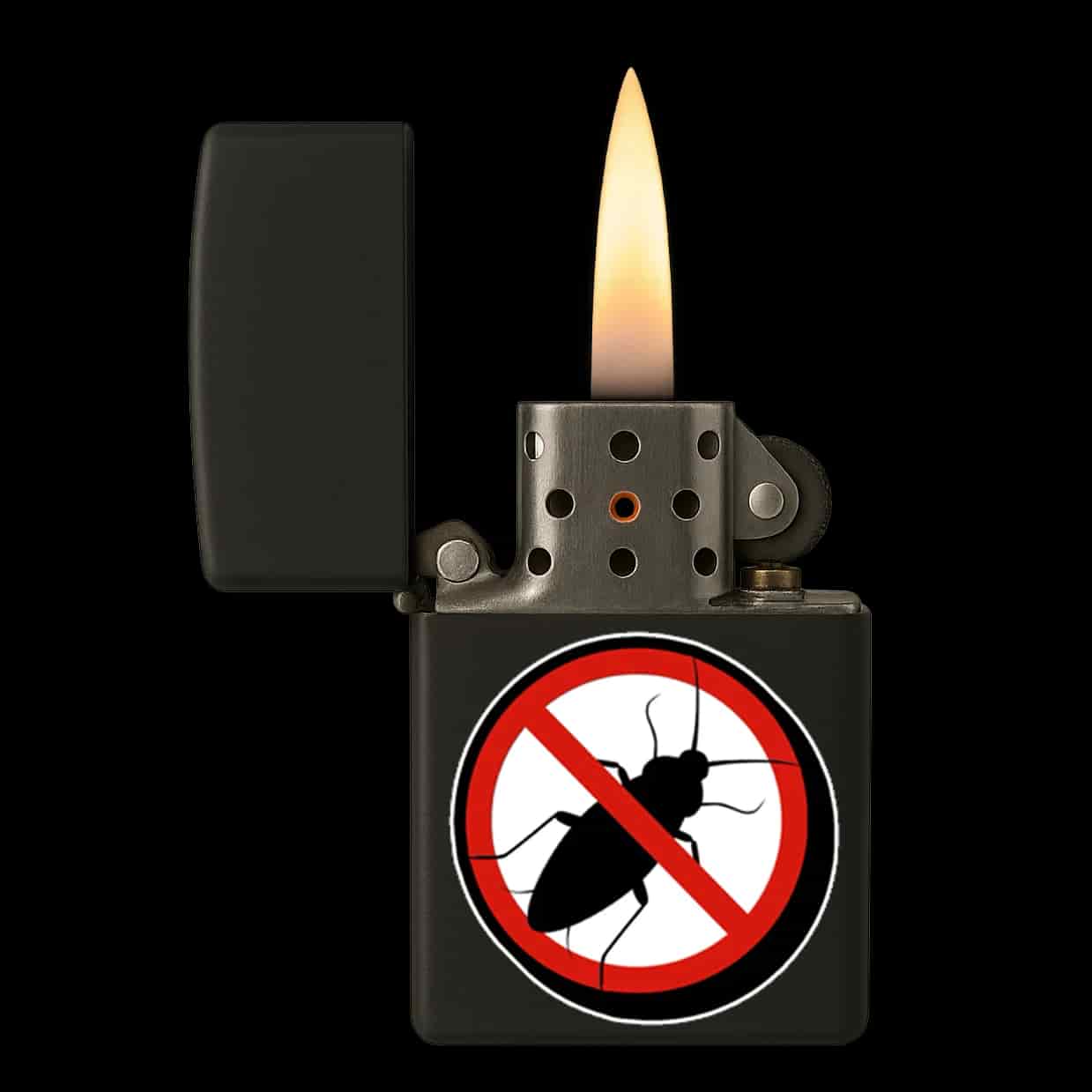 Anti Kakkerlak Isqueiro
