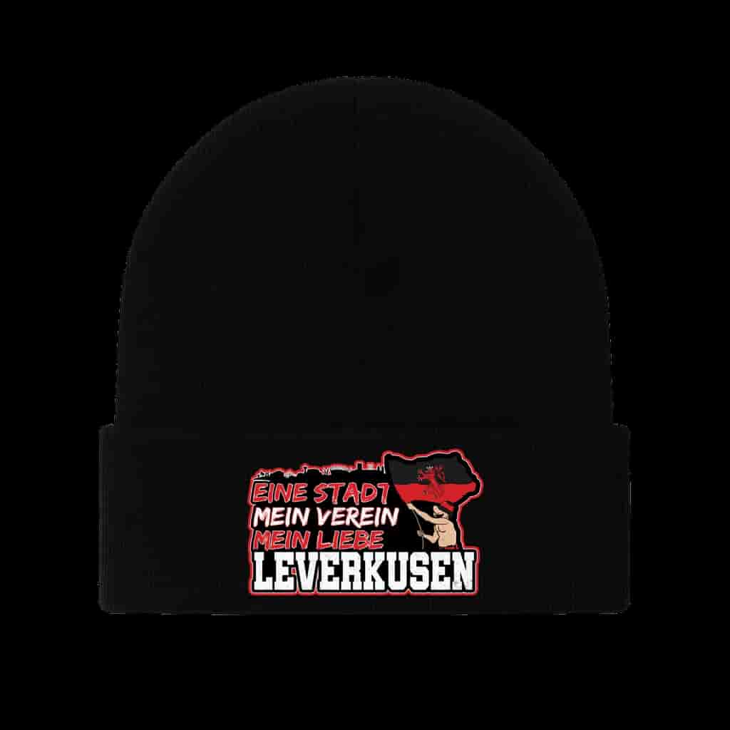 Leverkusen 1904, eine stadt, mein verein, mein liebe Čepice