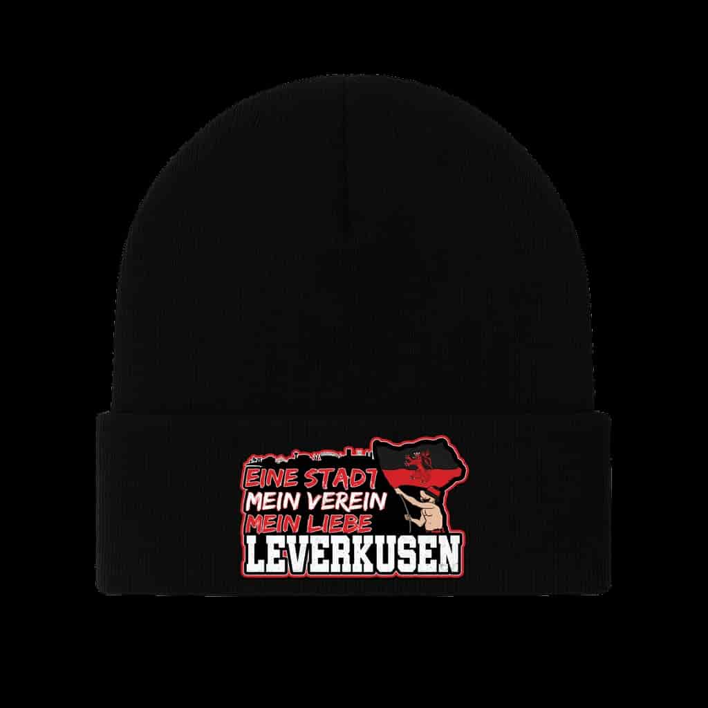 Leverkusen 1904, eine stadt, mein verein, mein liebe Čepice