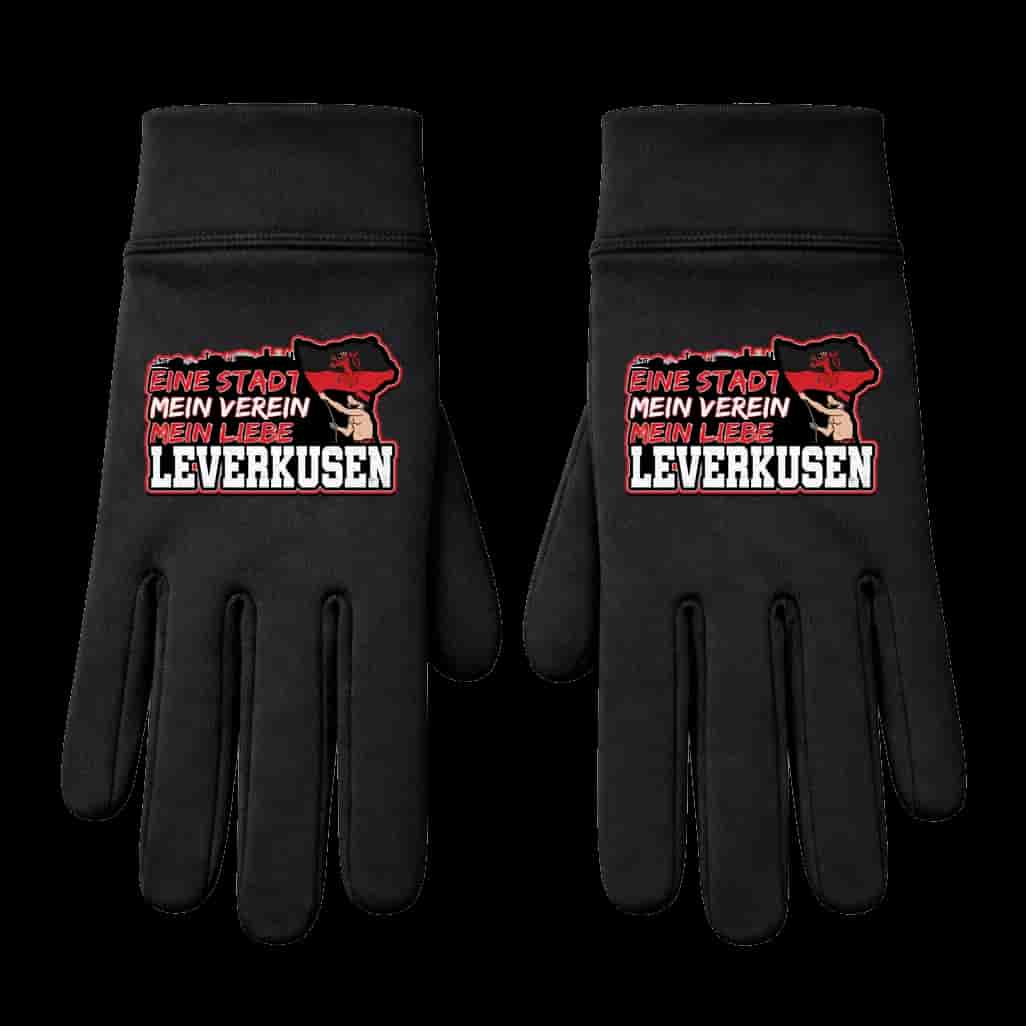 Leverkusen 1904, eine stadt, mein verein, mein liebe Rukavice
