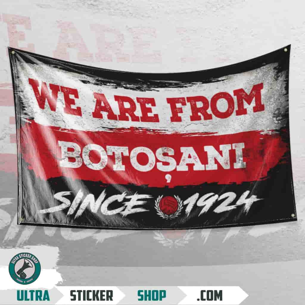 We are from Botoșani since 2001 Flag