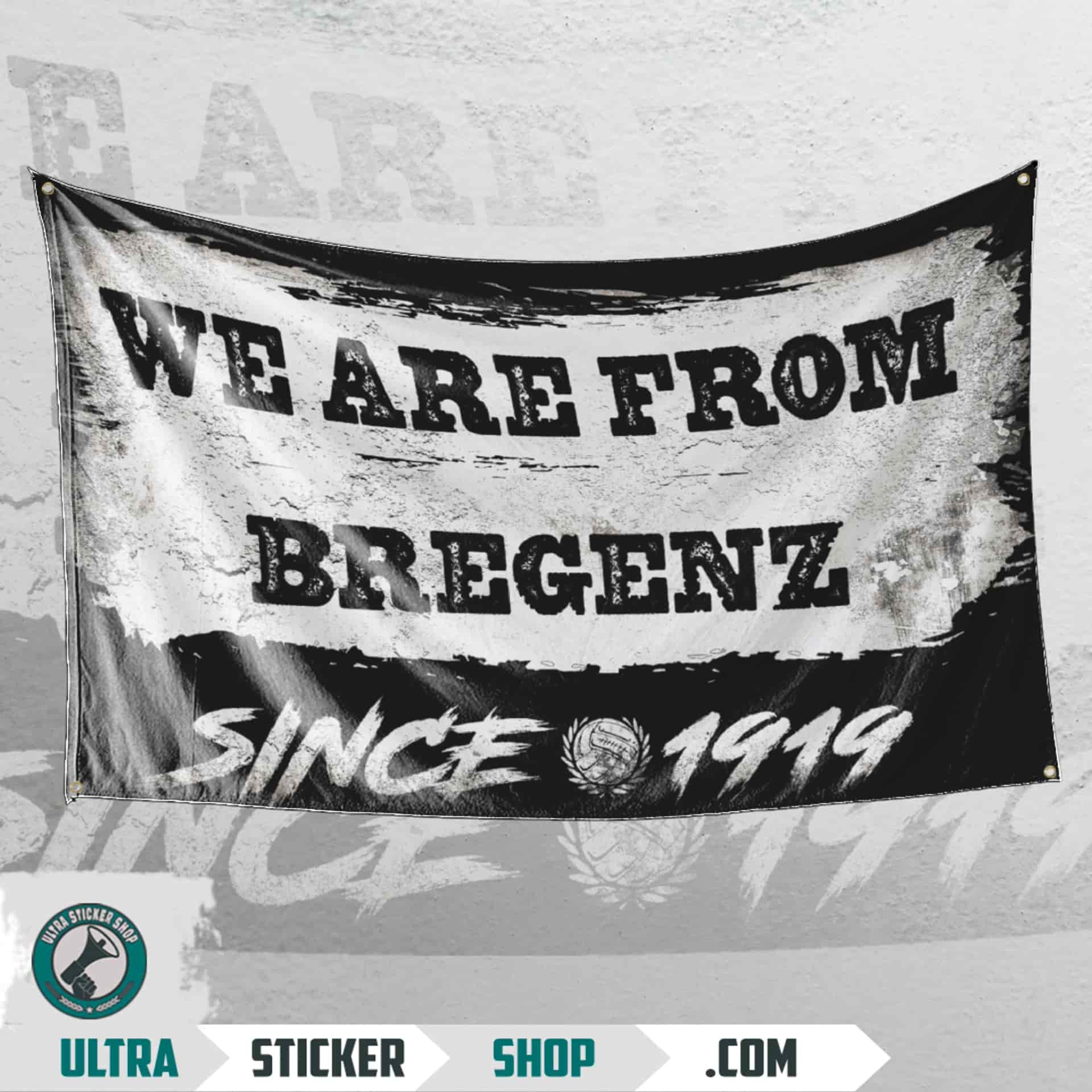 We are from Bregenz since 1919 Bandiera